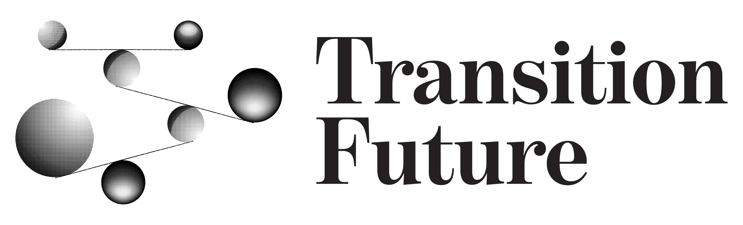 Transition Future